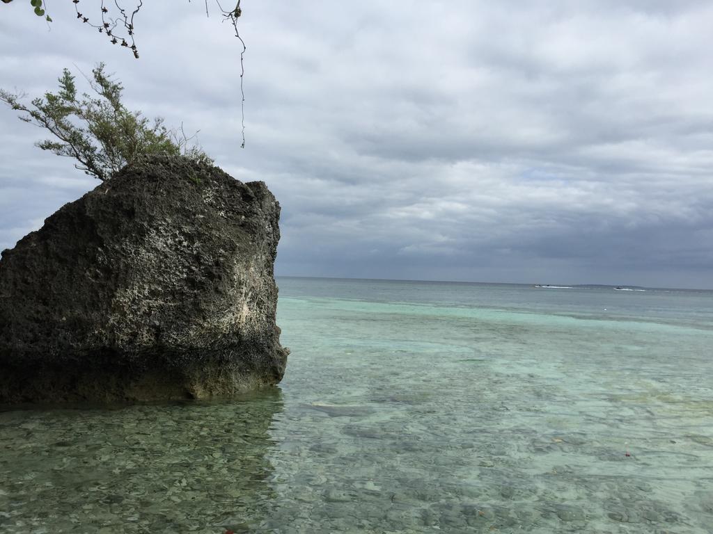 The Whitehouse By The Sea Villa Panglao Bagian luar foto