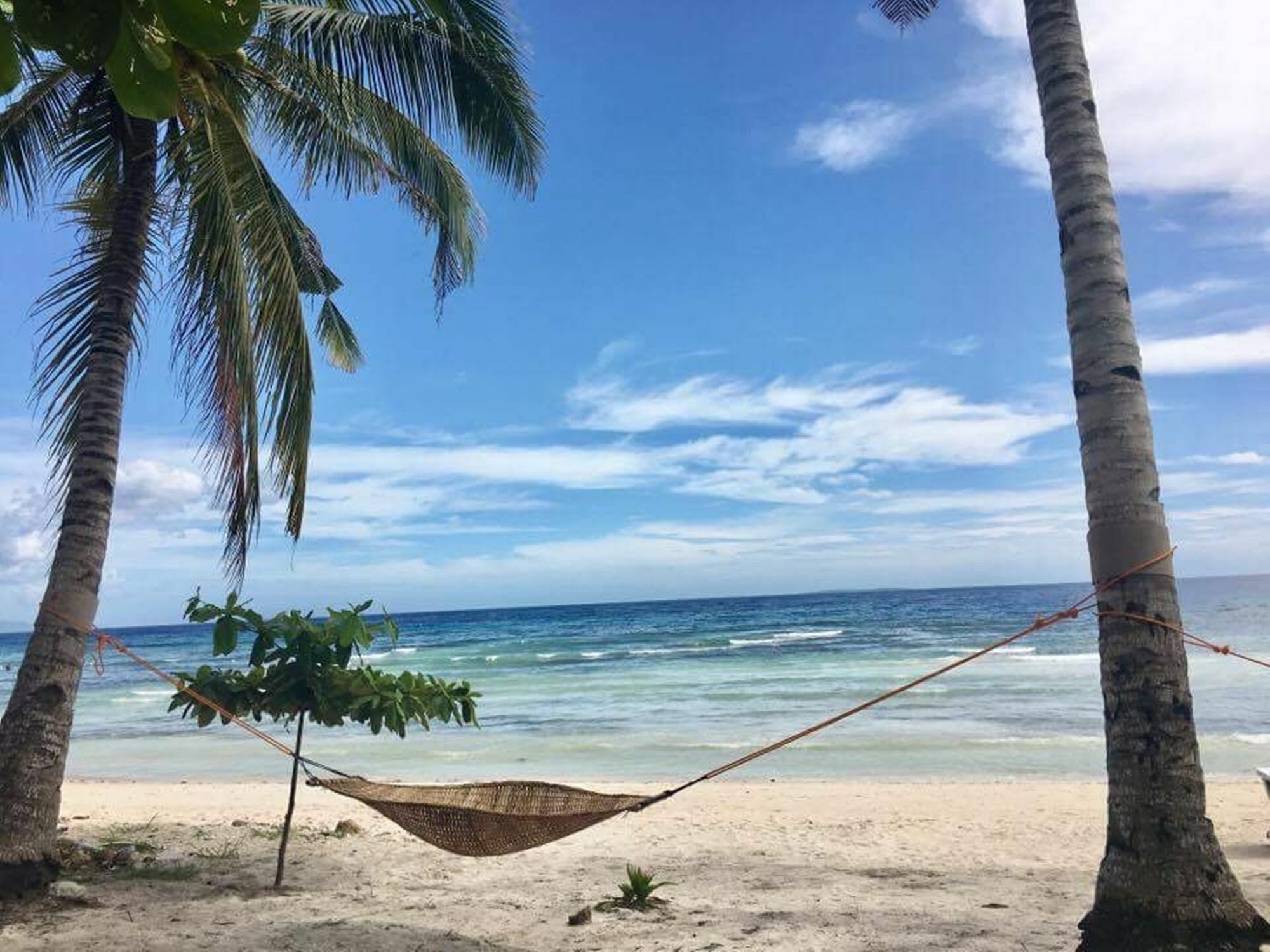 The Whitehouse By The Sea Villa Panglao Bagian luar foto